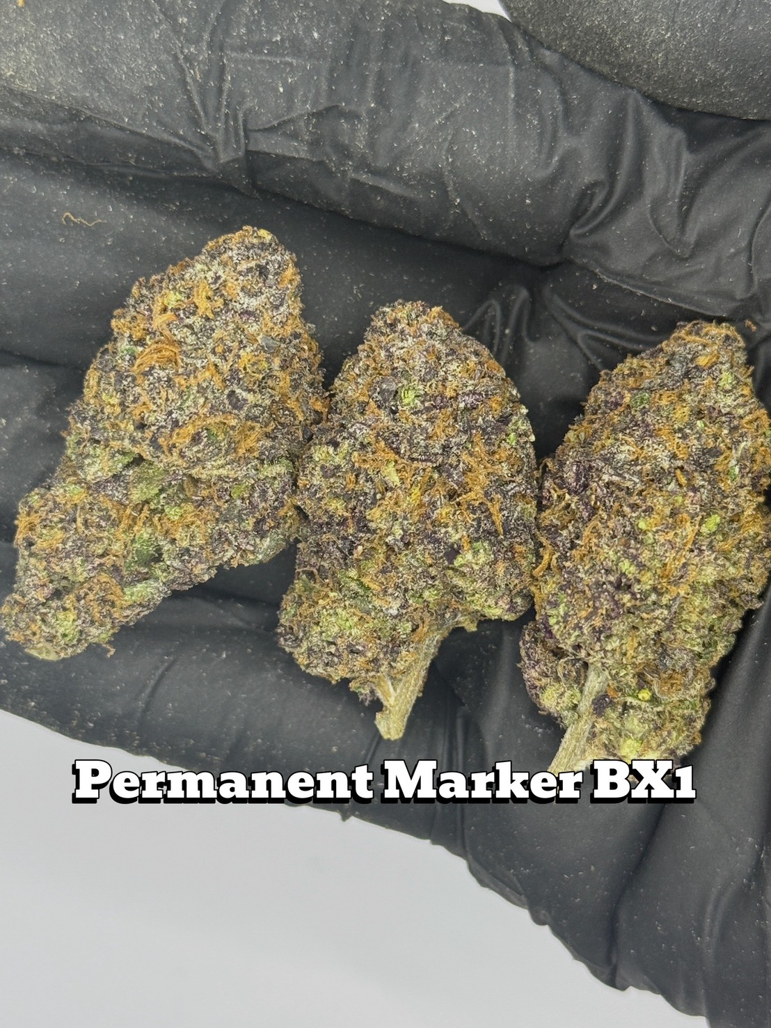 Permanent Marker BX1