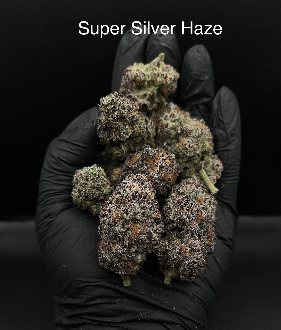 Super Silver Haze